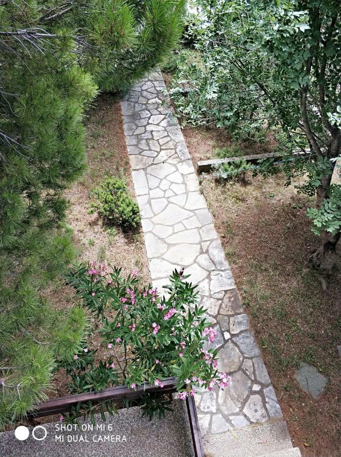 Danica Holiday House Cesarica Extérieur photo